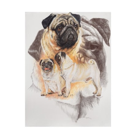 Barbara Keith 'Pug And Ghost' Canvas Art,24x32